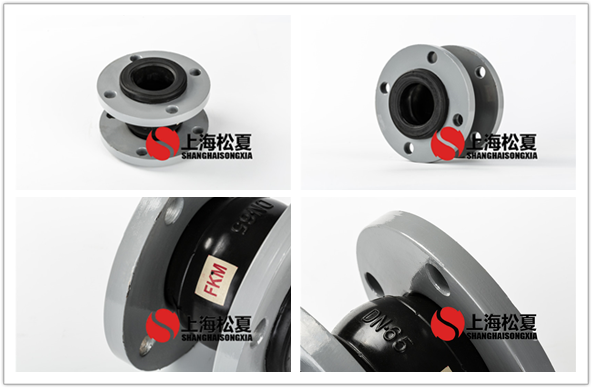 FKM-DN100-16kg耐腐蝕氟<a href='http://www.5dsbrand.cn' target='_blank'><u>橡膠接頭</u></a>